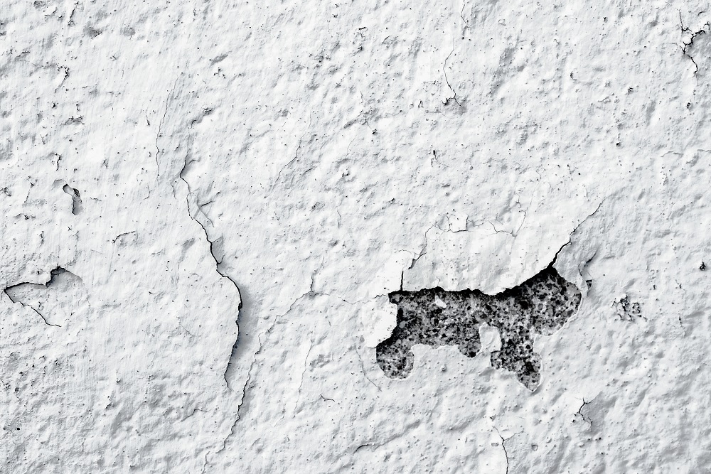 The Perfect Wallpaper for Your House